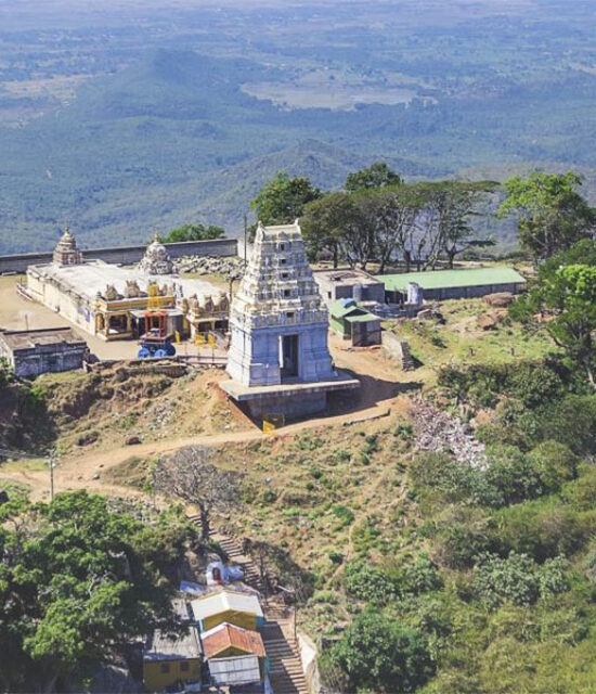 Discovering the Hidden Wonders of Nature in BR Hills