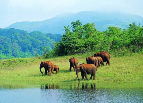 Discover the Enchanting Waterfalls Near Bandipur: A Nature Lover’s Paradise