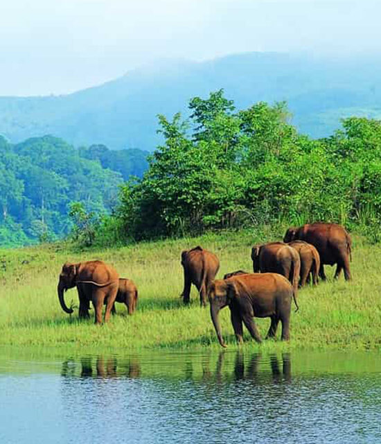 Discover the Enchanting Waterfalls Near Bandipur: A Nature Lover’s Paradise